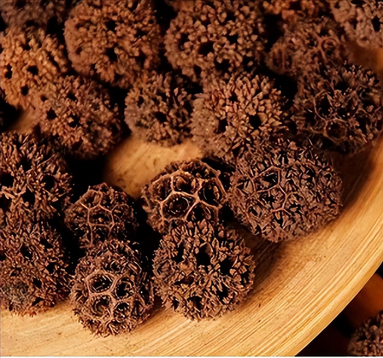 巴戟天无路路通边补边堵，熟地无菟丝子边补边漏，枳壳无川芎气血不通 中医用药讲