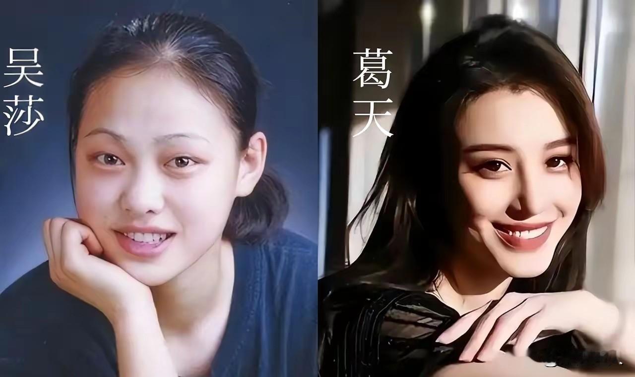 刘翔两段婚姻经常被人拿出来对比。说实话，吴莎确实比葛天更适合刘翔，这不是谁好谁坏
