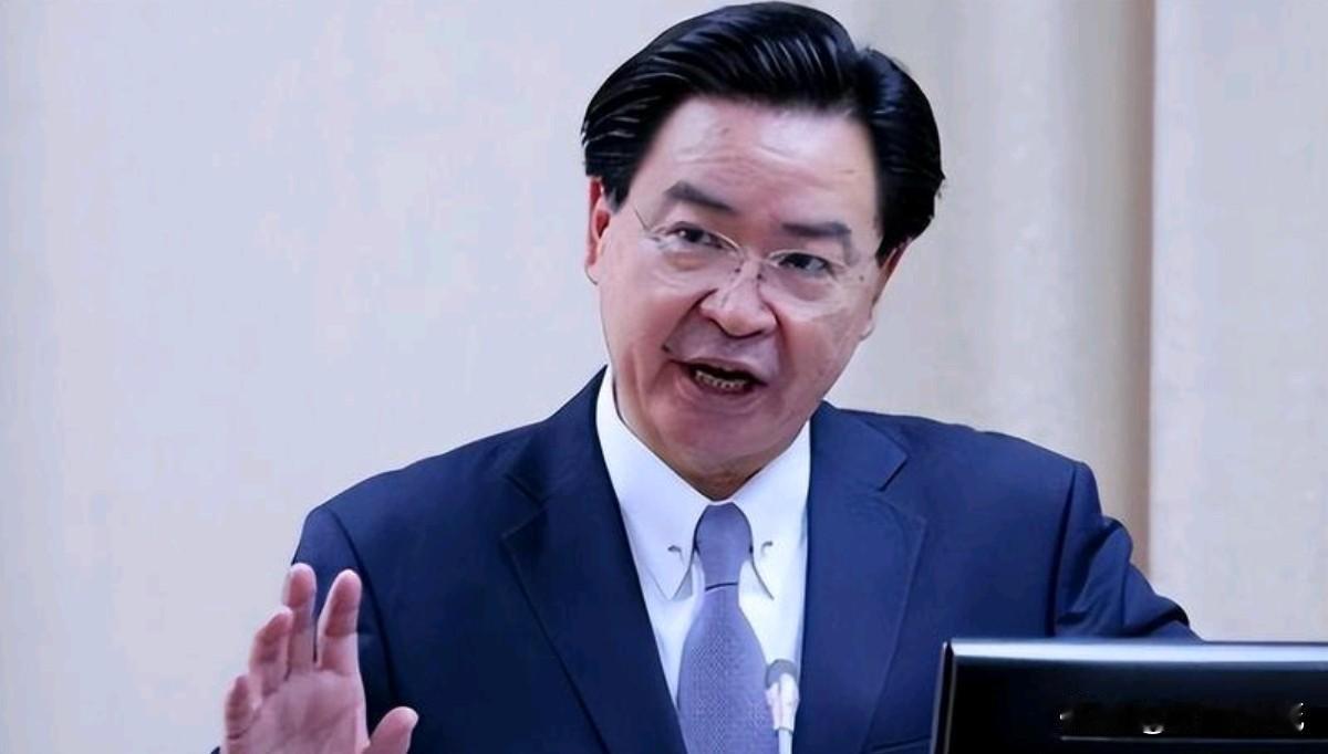 台独分子帮日本骂中国，解放军警告勿插手，岛内势力后果难料。11月14号台湾的吴