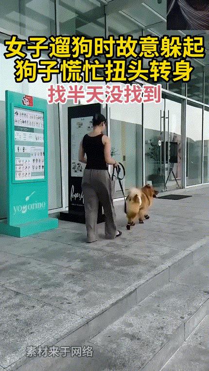 狗：卧槽坏了把人遛丢了[大笑]