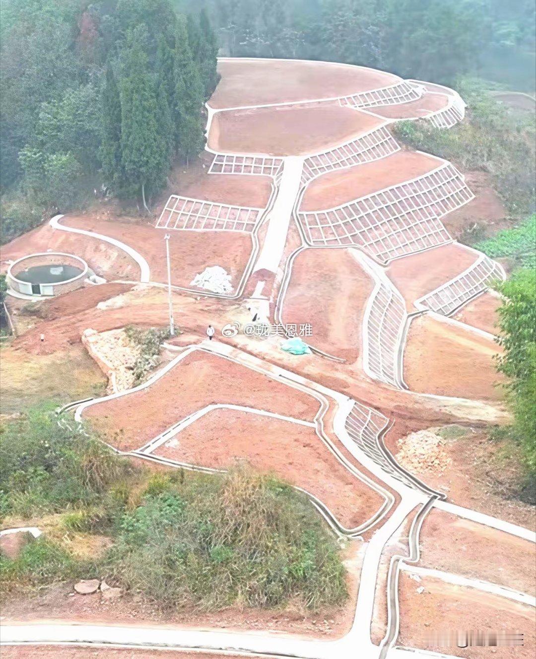 差点喷错的高标准农田！初见满山坡水泥方格，第一反应又是面子工程、表面功夫