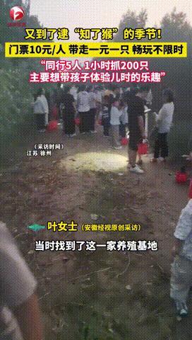 “聪明人干啥都赚钱！”江苏，一家养殖“知了猴”基地，老板竟然以10元一人的门票，
