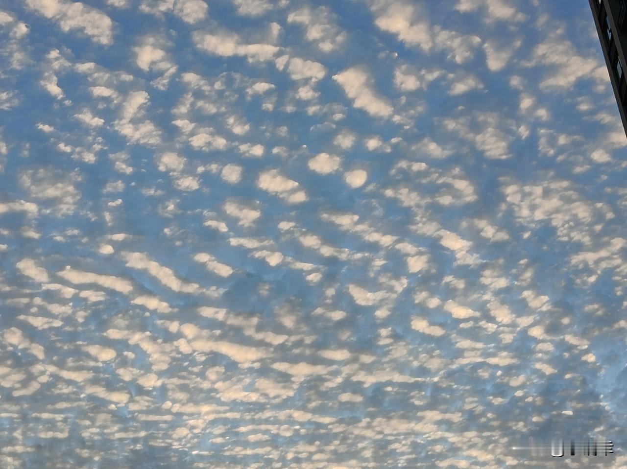 别再说白天当牛马是委屈，晚上做自己才是人生的真底色！多少人把工作时的忘我当成