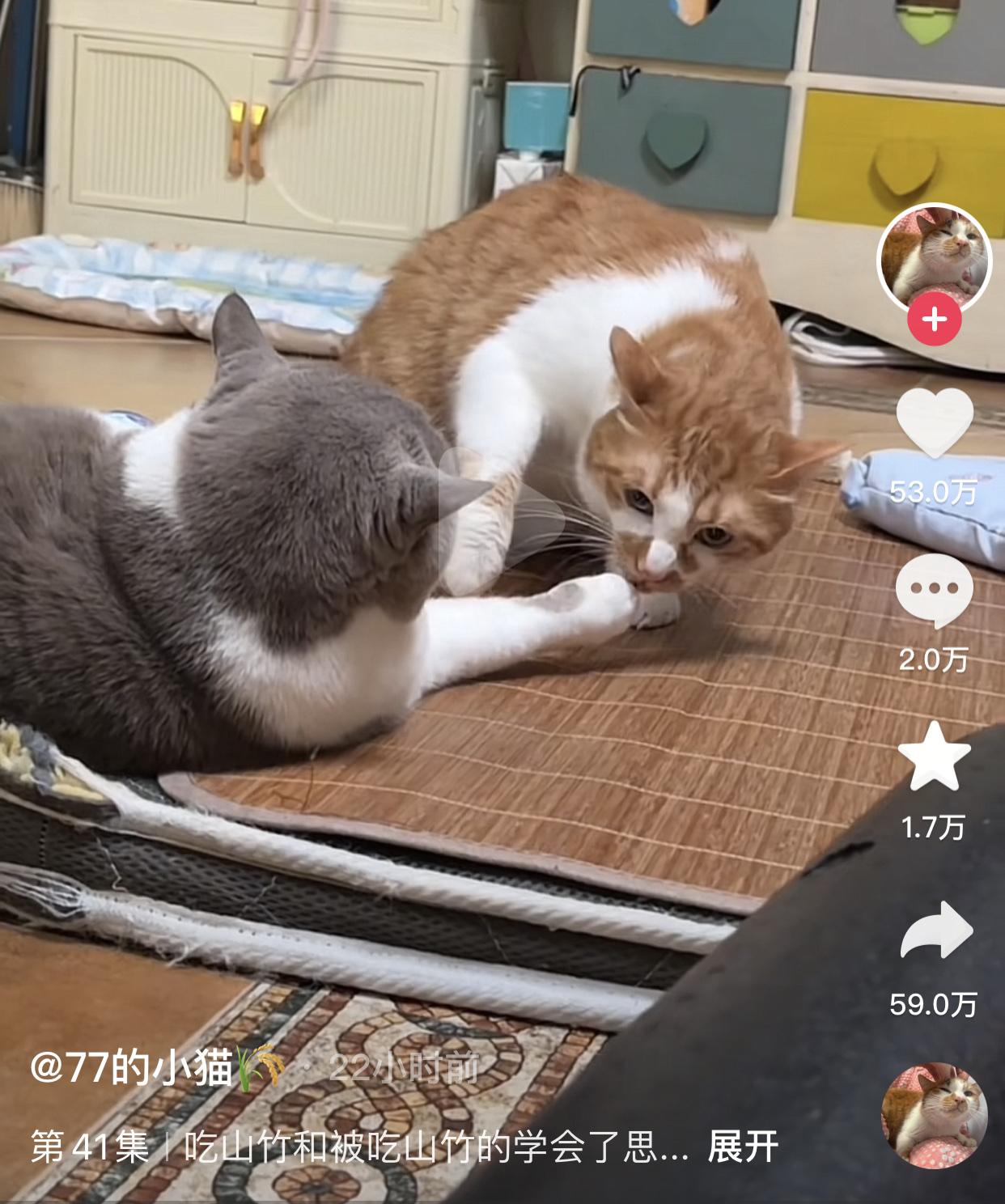 终于懂了什么叫“打你都怕你舔我手”。起因是博主家有只叫蛋黄的橘猫，因为是黄色