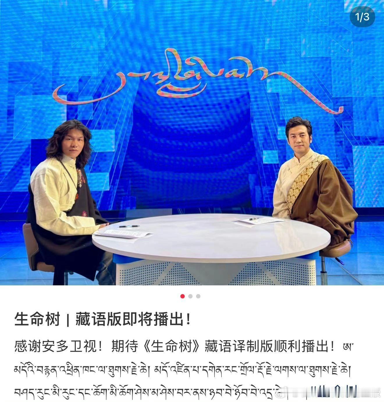 《生命树》藏语版要来了，杨紫咋这么牛啊，枪管里的火药变成鸢尾花的种子，被车辙刨开