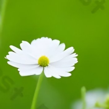 阳光信用｜每日一善一言一行，可辨人品；一朝一夕，可见人心。人与人最好的交往，必定