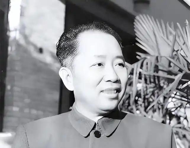 毛主席质问刘亚楼:"是谁决定的?"那是1955年6月,毛主席在杭州休养,刘亚