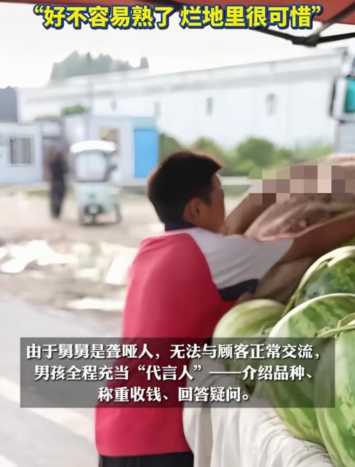 看哭！河南13岁男孩凌晨2点下地，全程当聋哑舅舅的翻译河南开封13岁男孩帮聋哑