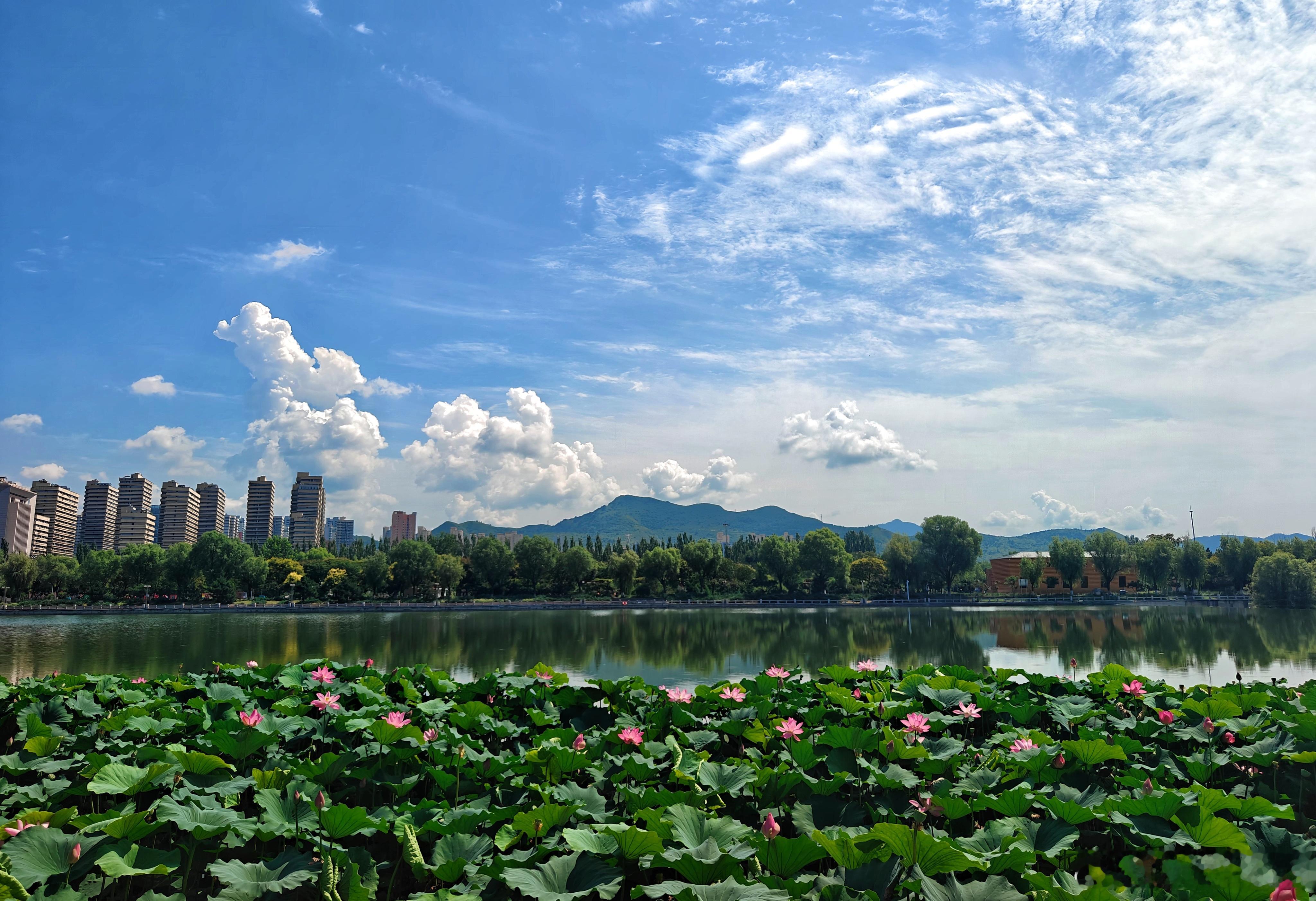 简单的快乐就来自一草一木一山一水的自然风景摄影大自然​​​