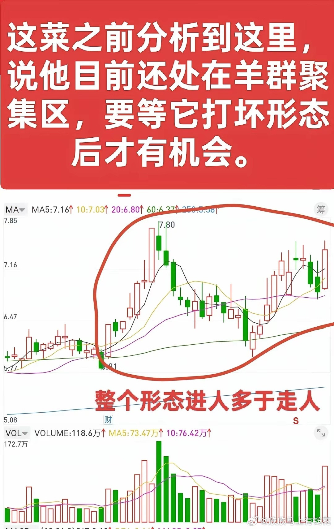 为什么有些票，即使看着他涨都不要轻易去碰，因为人家正在撒网的时候，如果还要主动跳