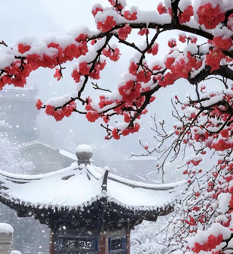 发生了什么？贝壳（北京）单日二手房挂牌量下降2628套？市场还真是个谜！市场