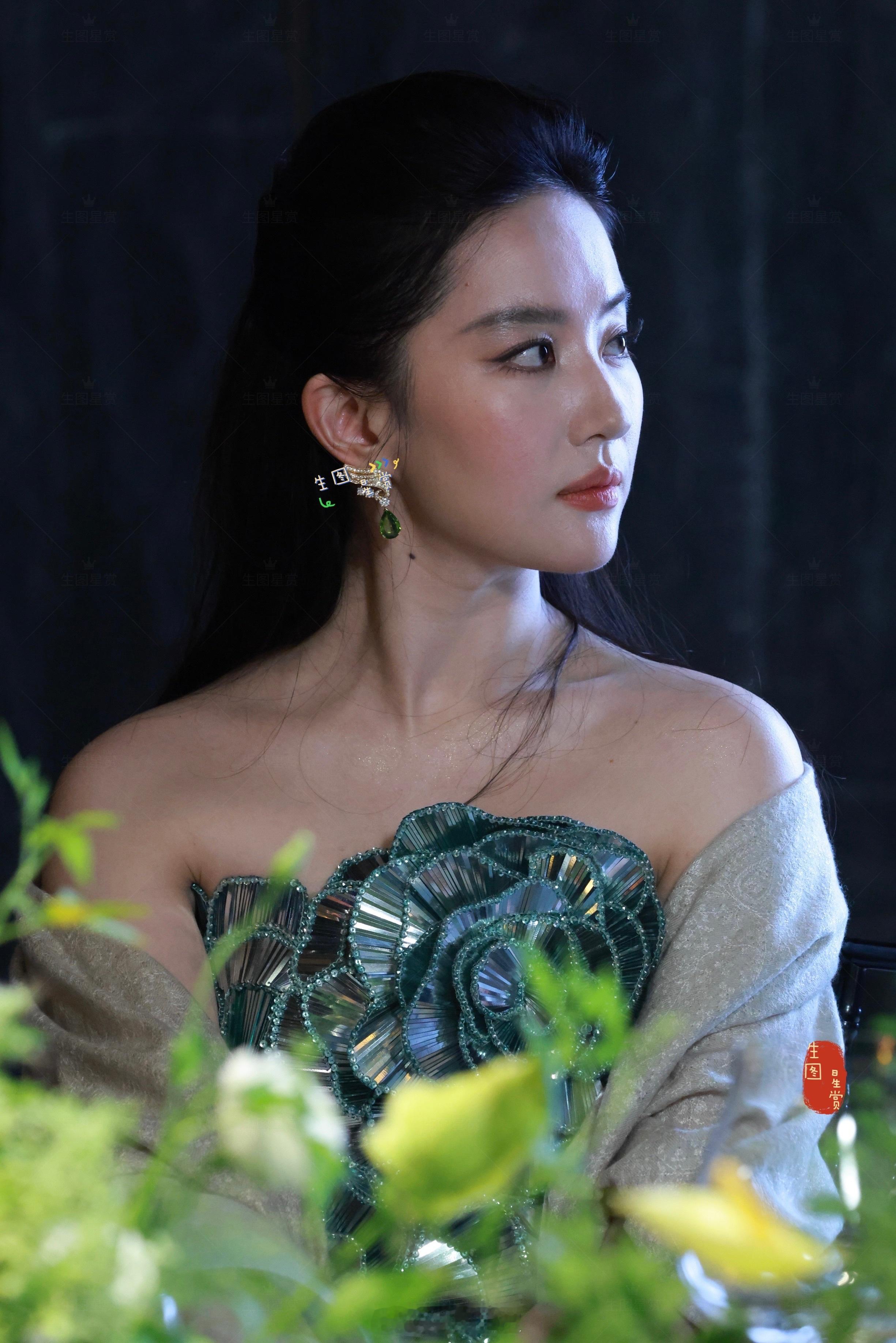 冰晶玫瑰刘亦菲，从天上来到凡间💎W电影之夜晚宴生图美貌💋刘亦菲鼻基底太会长了