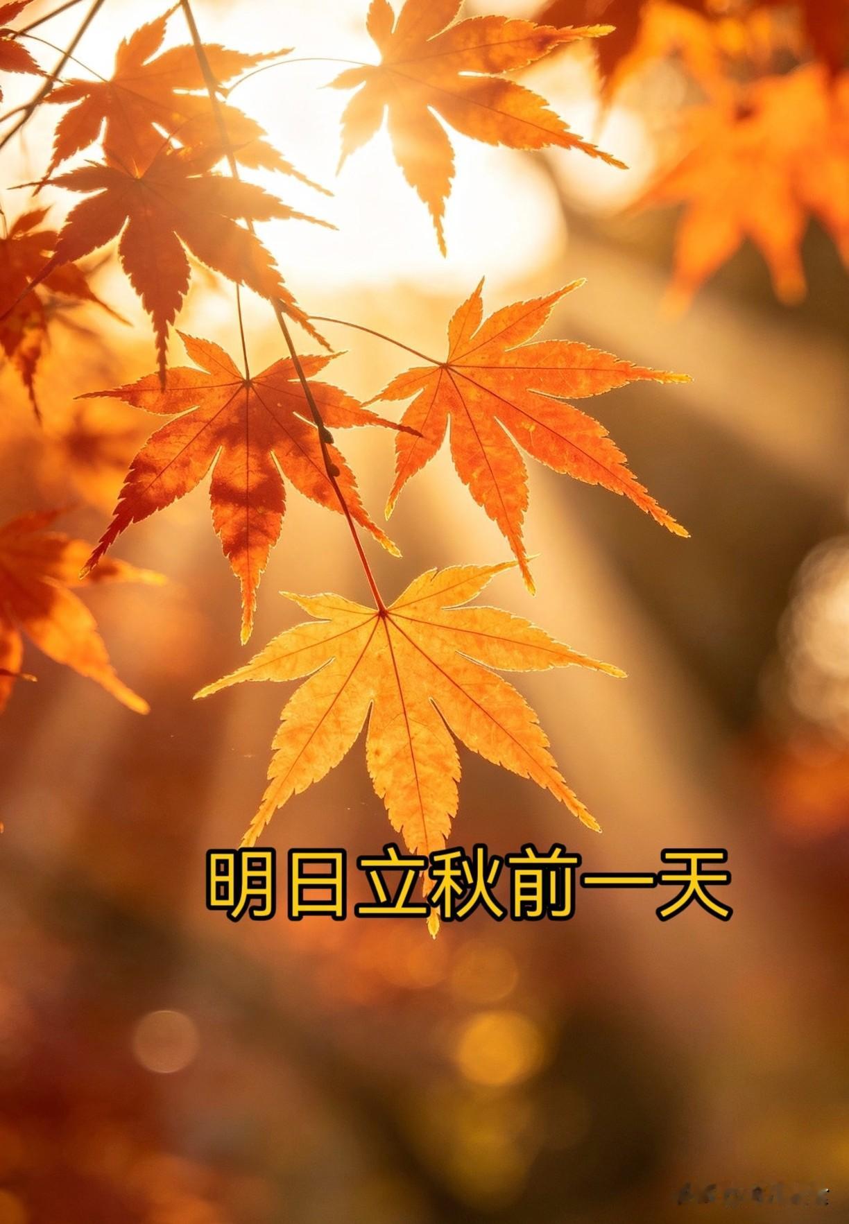 不是迷信！明日立秋前一天，记得：1不洗，2不去，3不碰，别大意临近立秋，夏
