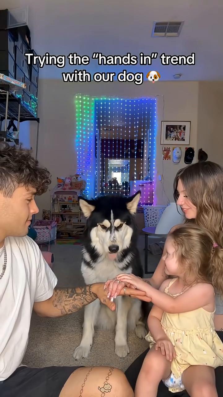 TestingYourDo。Tryingthe"handsin"t