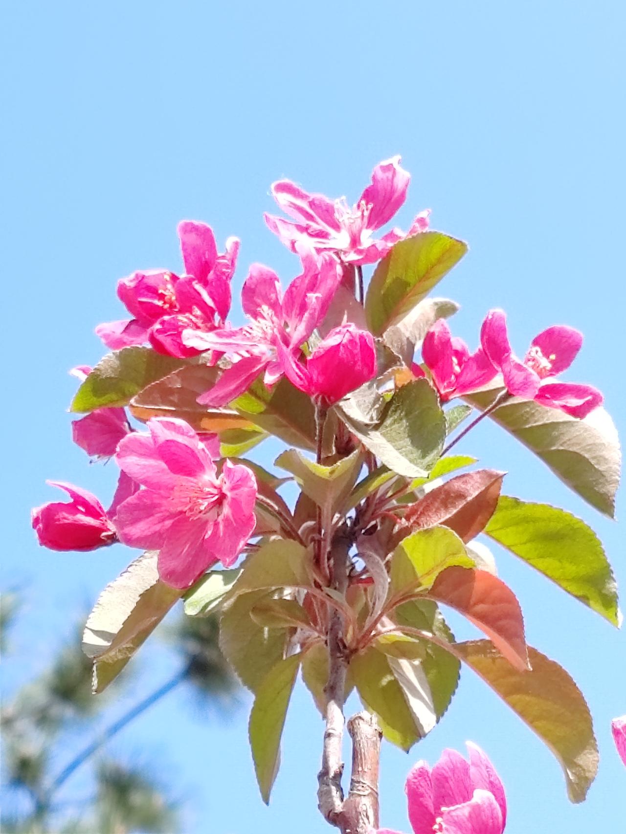 有句话怎么说来着，男人有钱易花心，女人花心易有钱。通常而言，在富裕家庭里，若由男