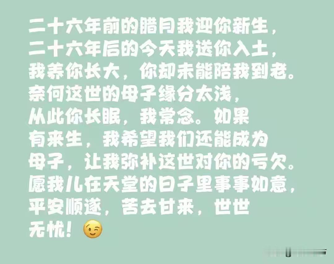 河南一位母亲送别了自己26岁的大儿子，白发人送黑发人，悲痛欲绝。26岁程序员西瓜
