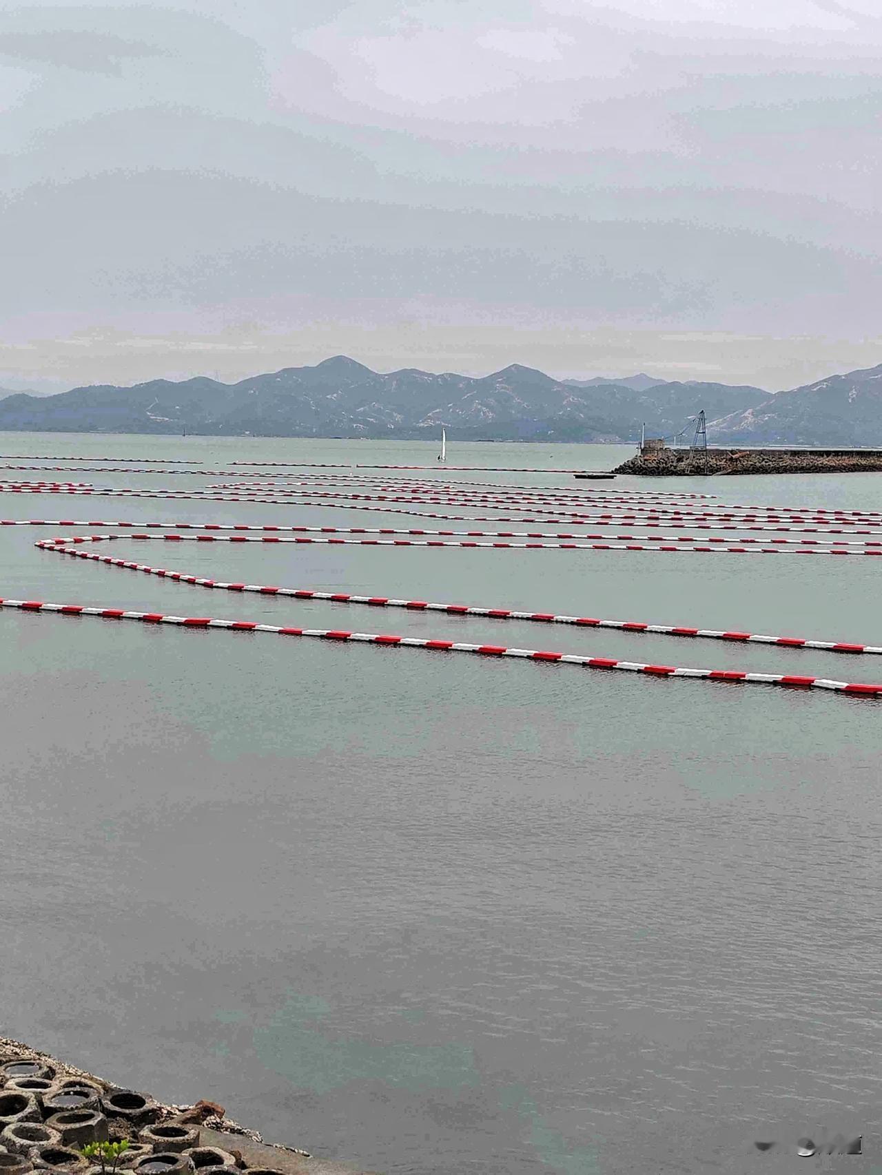 我的今日状态：😁轻松愉快我这里的天气：🌤️多云