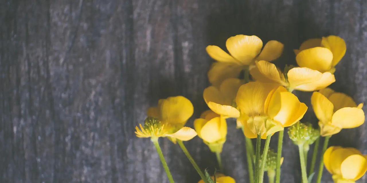 属兔的朋友们，2026年1月6日这天，运势整体平稳中带点小波折，得注意钱包别乱花