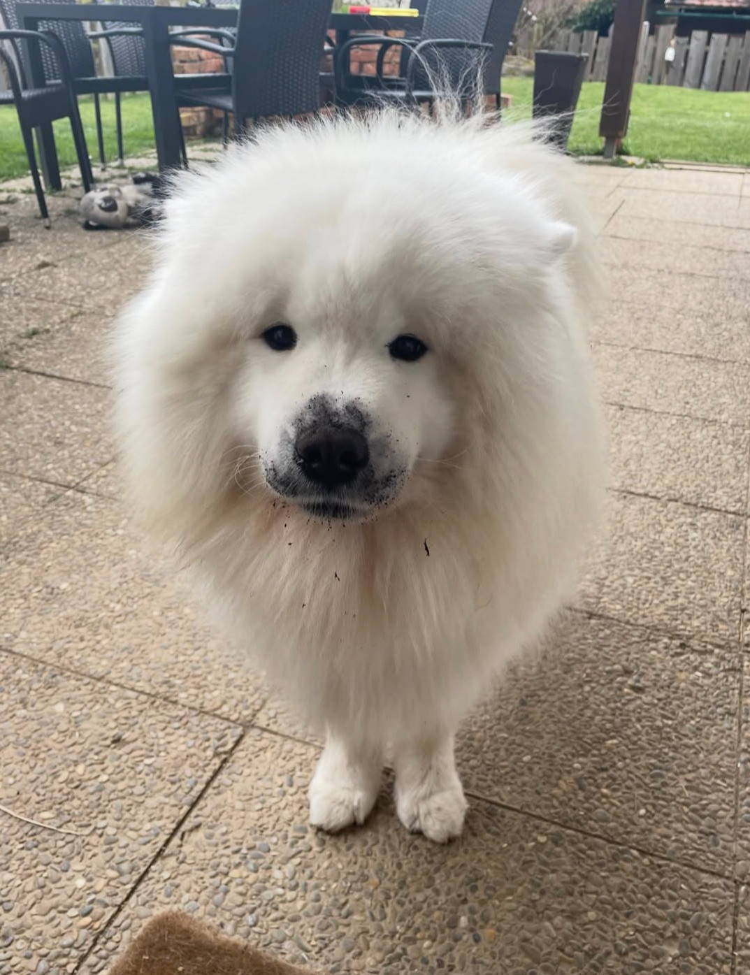 宝宝，你的嘴筒子怎么黑了