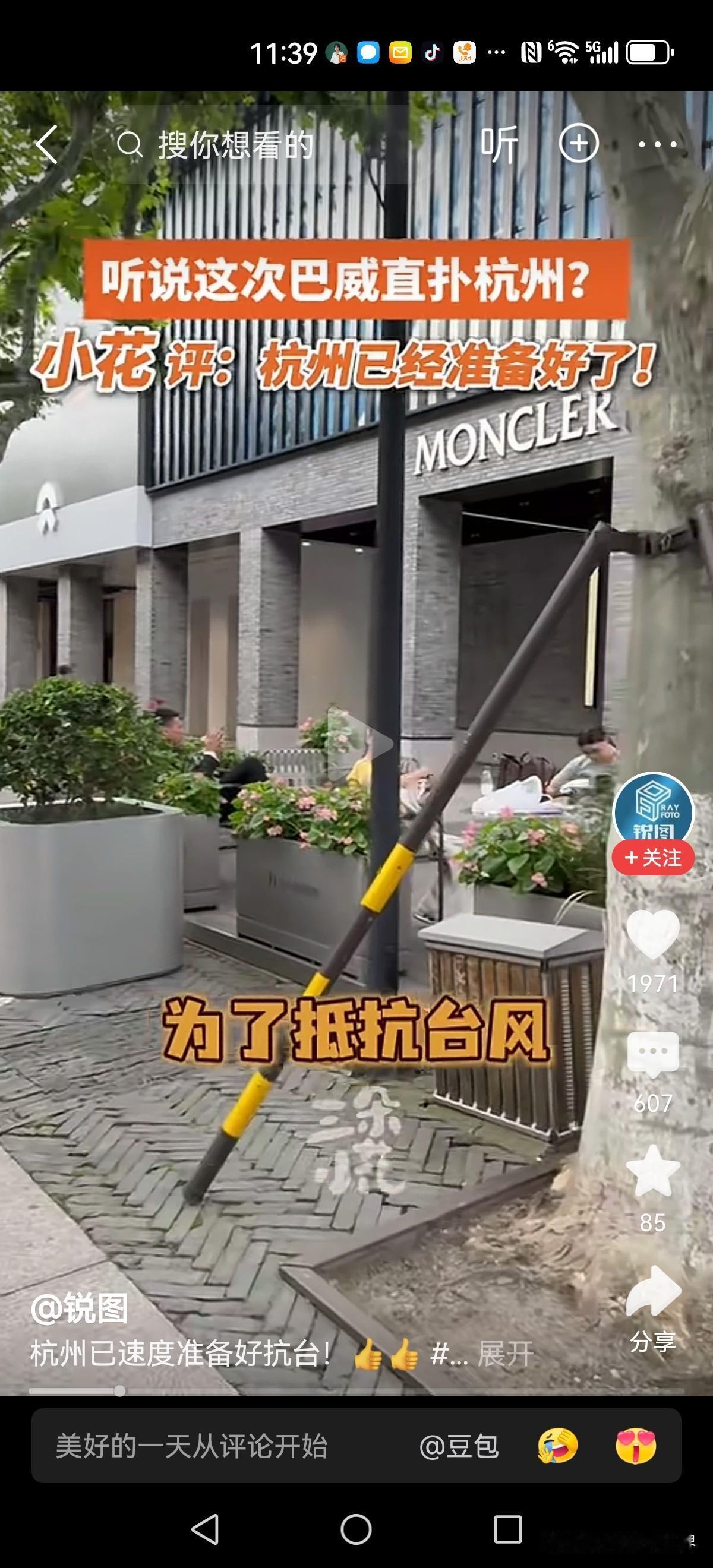 未雨绸缪！为了应对超强台风的冲击，西湖边的树已经做好了加固！超强台风预报台风破