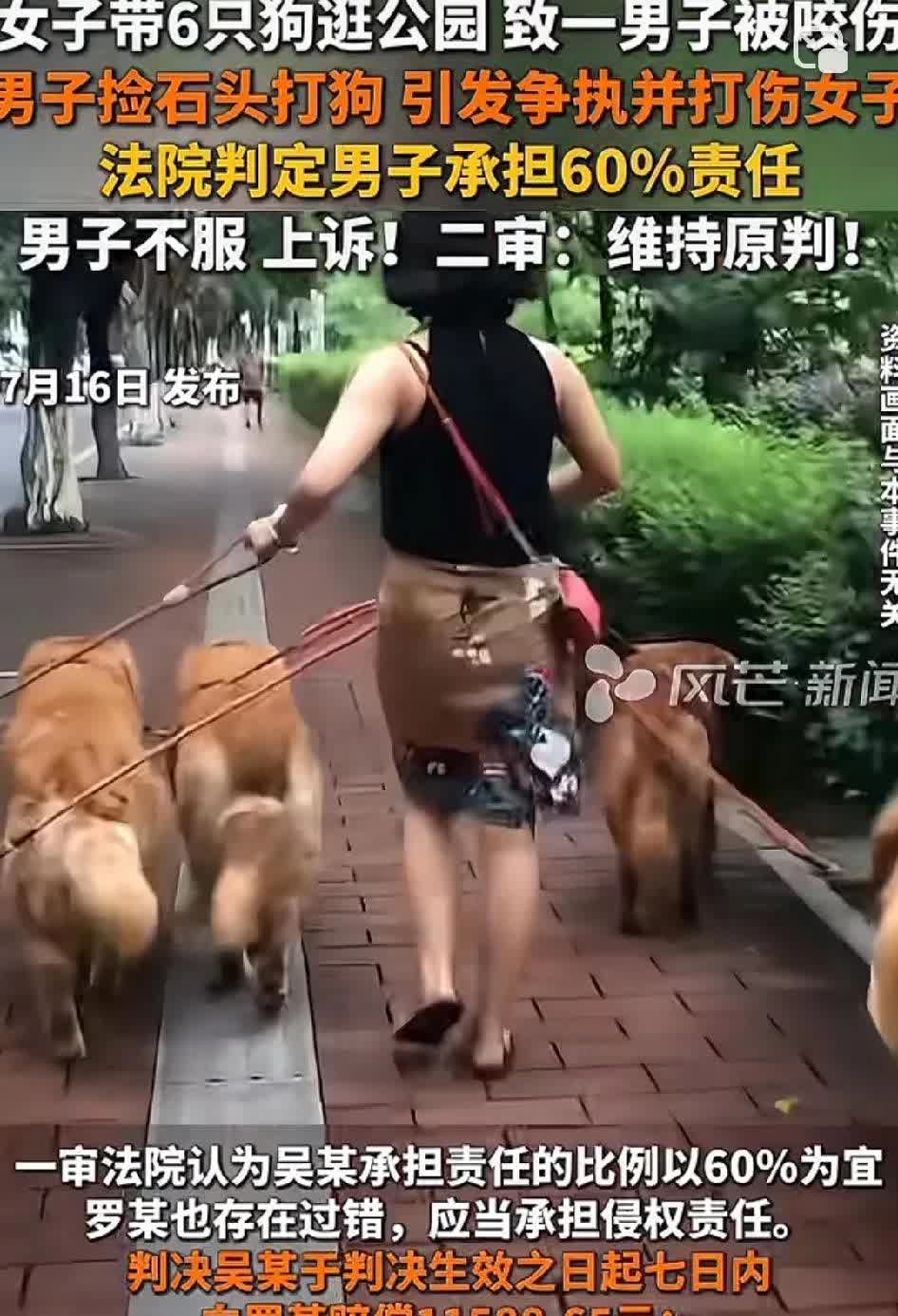 女子带着6只狗逛公园，结果致使一名男子被咬伤。男子捡起石头打狗，从而引发争执，还