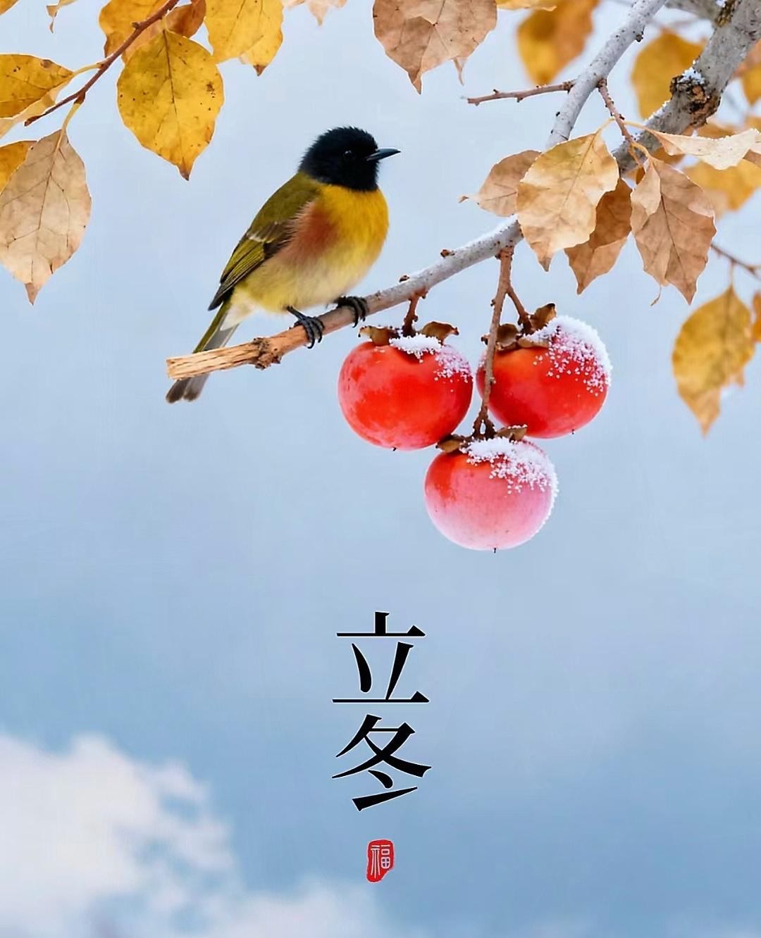 明天就立冬了，以前不懂，老话说得好“立冬在月头，雪雨不用愁；立冬在月中