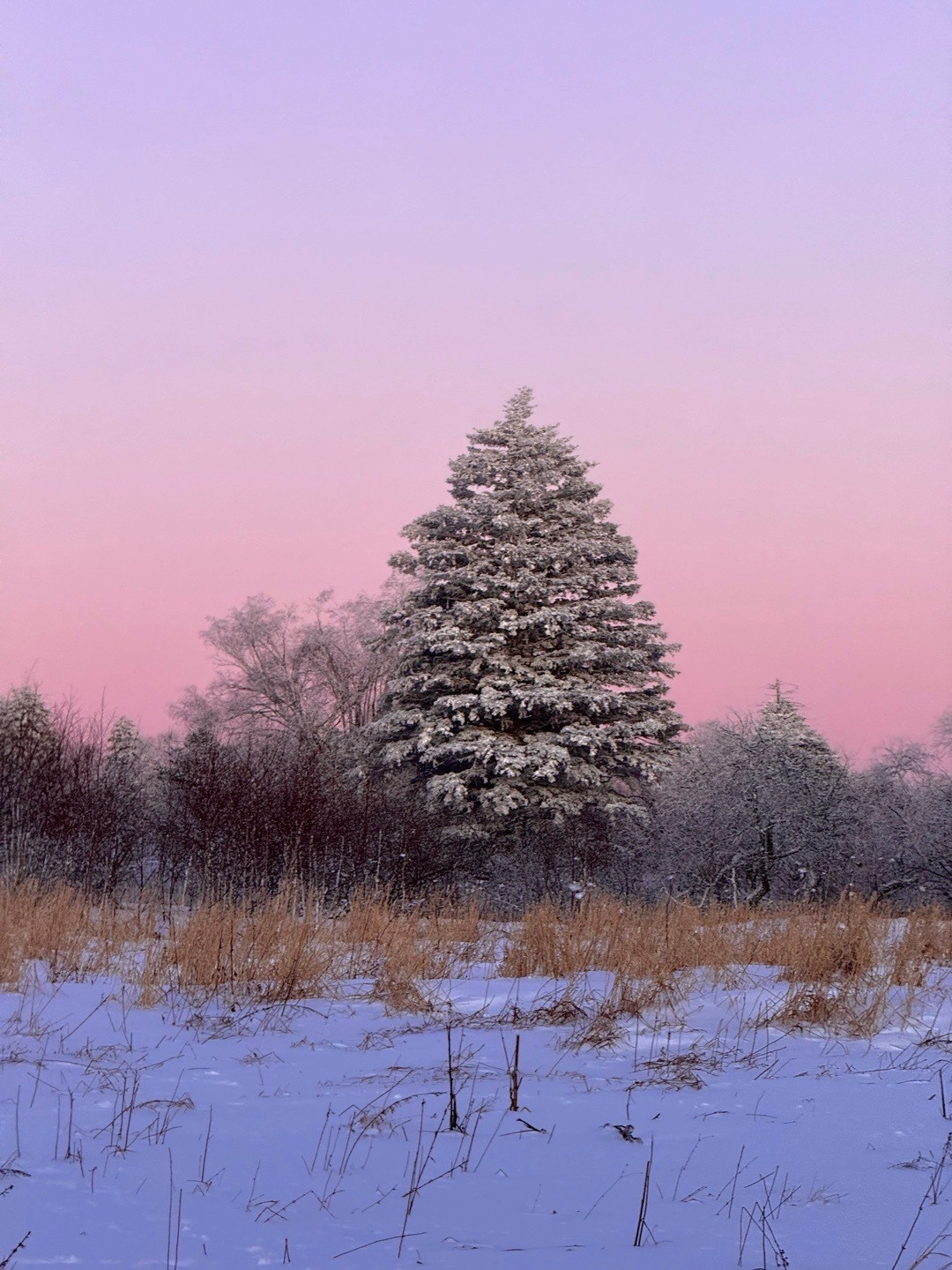 下次一定要看到天池
