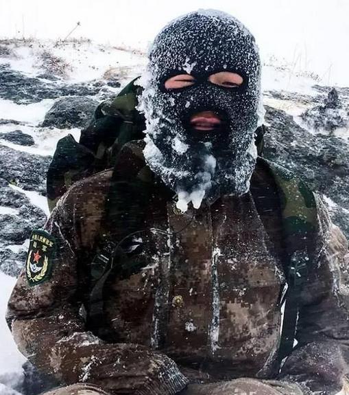 海拔4700米的冰天雪地环境里，有人发现了活着的蚊子，这一发现颠覆了很多人对高海