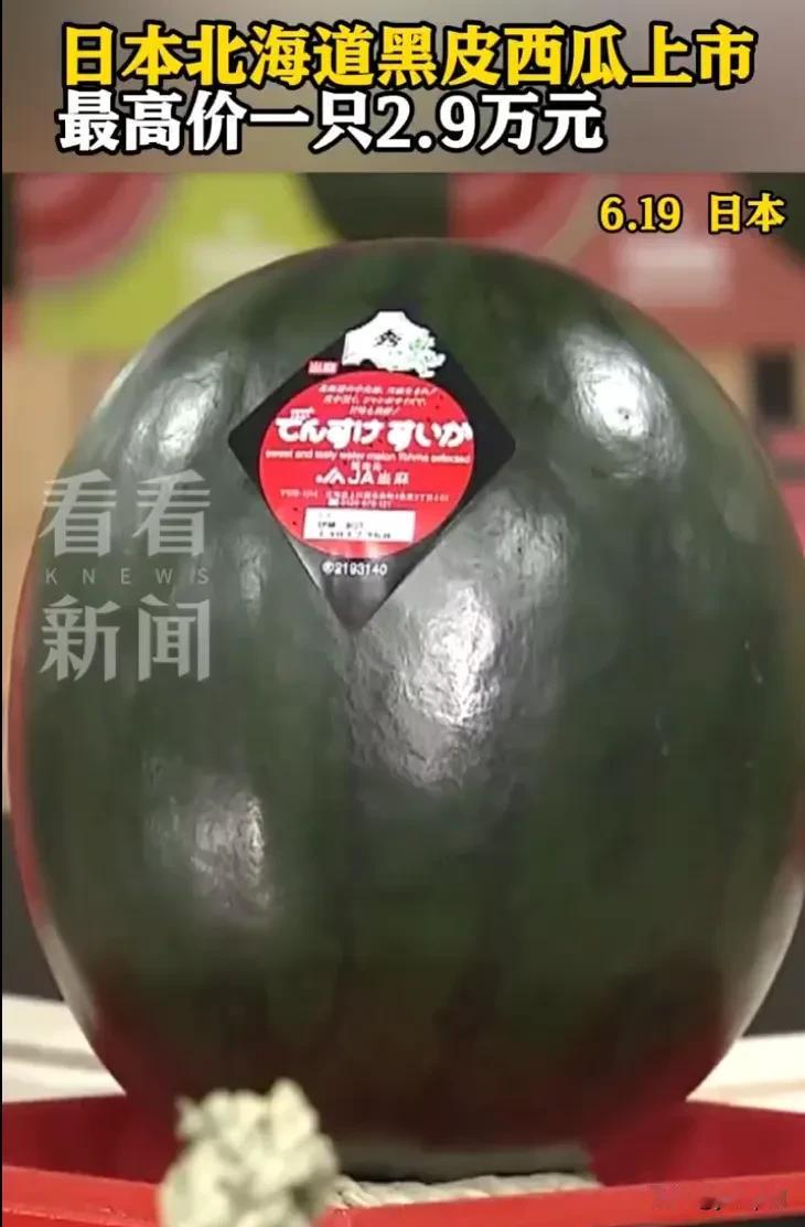 一颗西瓜卖了70万日元，折合过来差不多三万块人民币。这消息传回国内，评论区直接就