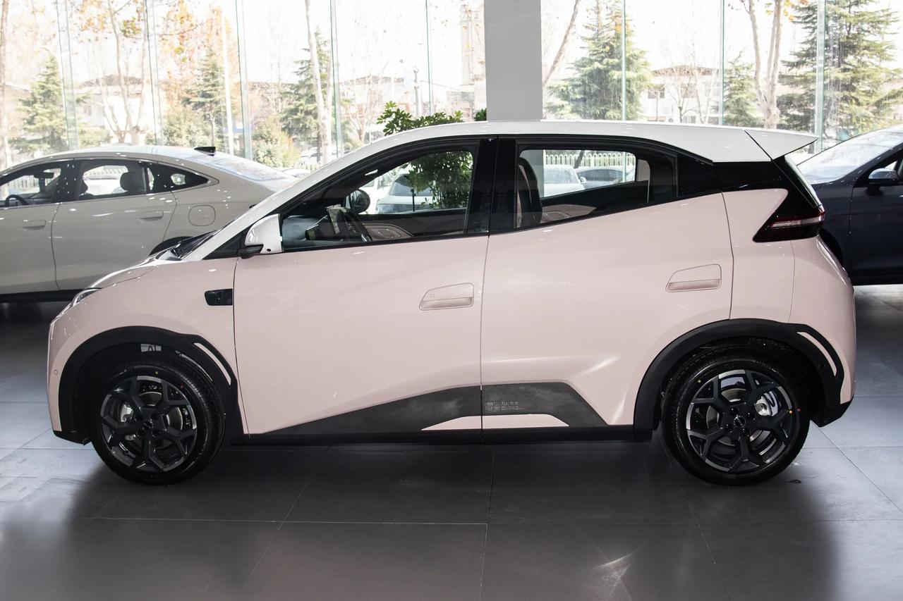 要是手里攥着七八万，想买辆精品纯电小车，比亚迪海鸥挺不错。外观的设计挺拉风，和市