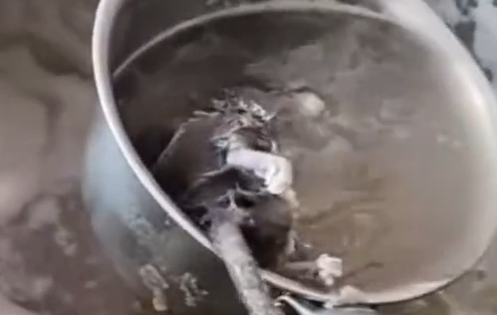 顾客加汤捞出死老鼠! 广西一早餐店被立案调查, 责令立即停业整改