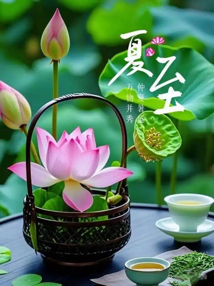 早上好！🐎🍒²⁰²⁶/₀₆.₂₁星期日🍒🌾🌾🌻时至夏至，日光悠长