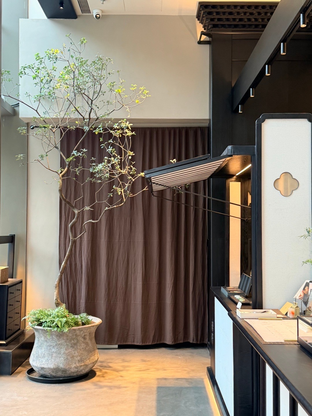 又失眠了🥲明天早班机🥲🥲🥲