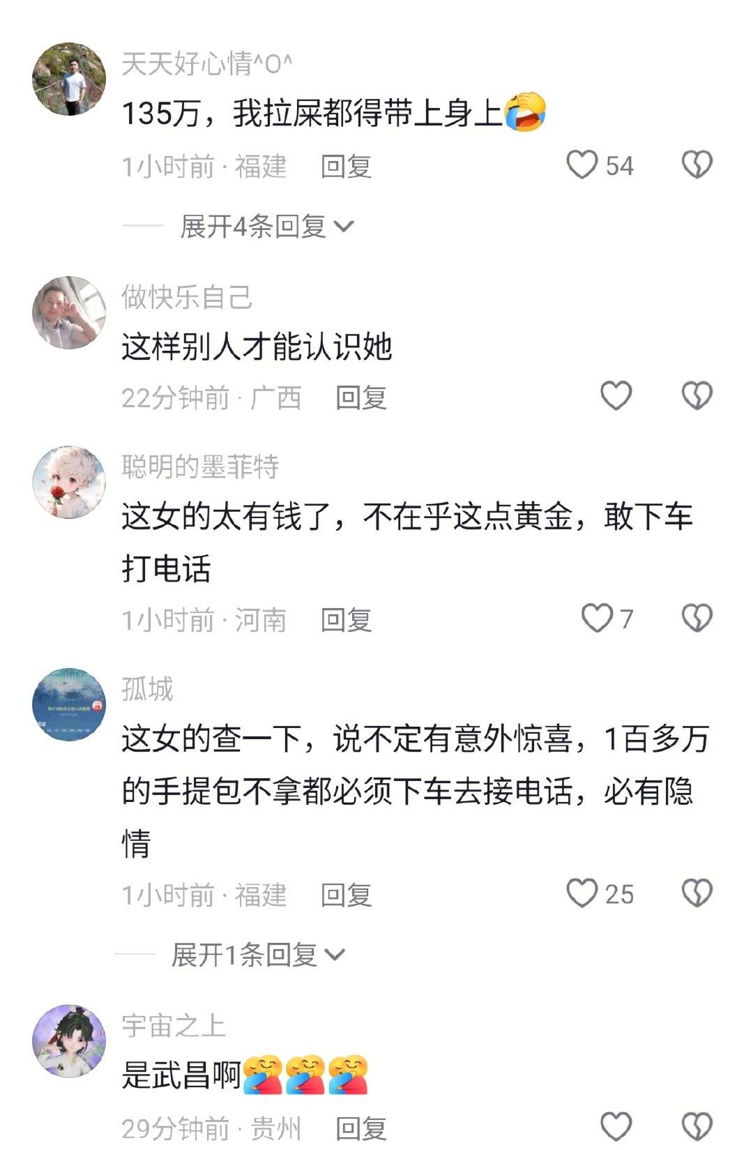 胡女士那天乘坐动车出行，随身携带了一个黑色手提袋，里面装着900克黄金首饰，价值