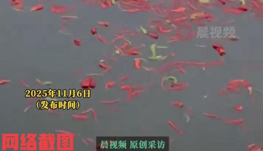 湖南长沙有男子包了鱼塘。男子养鱼的不同，在于别人喂食鱼饲料而他所走不寻常路，