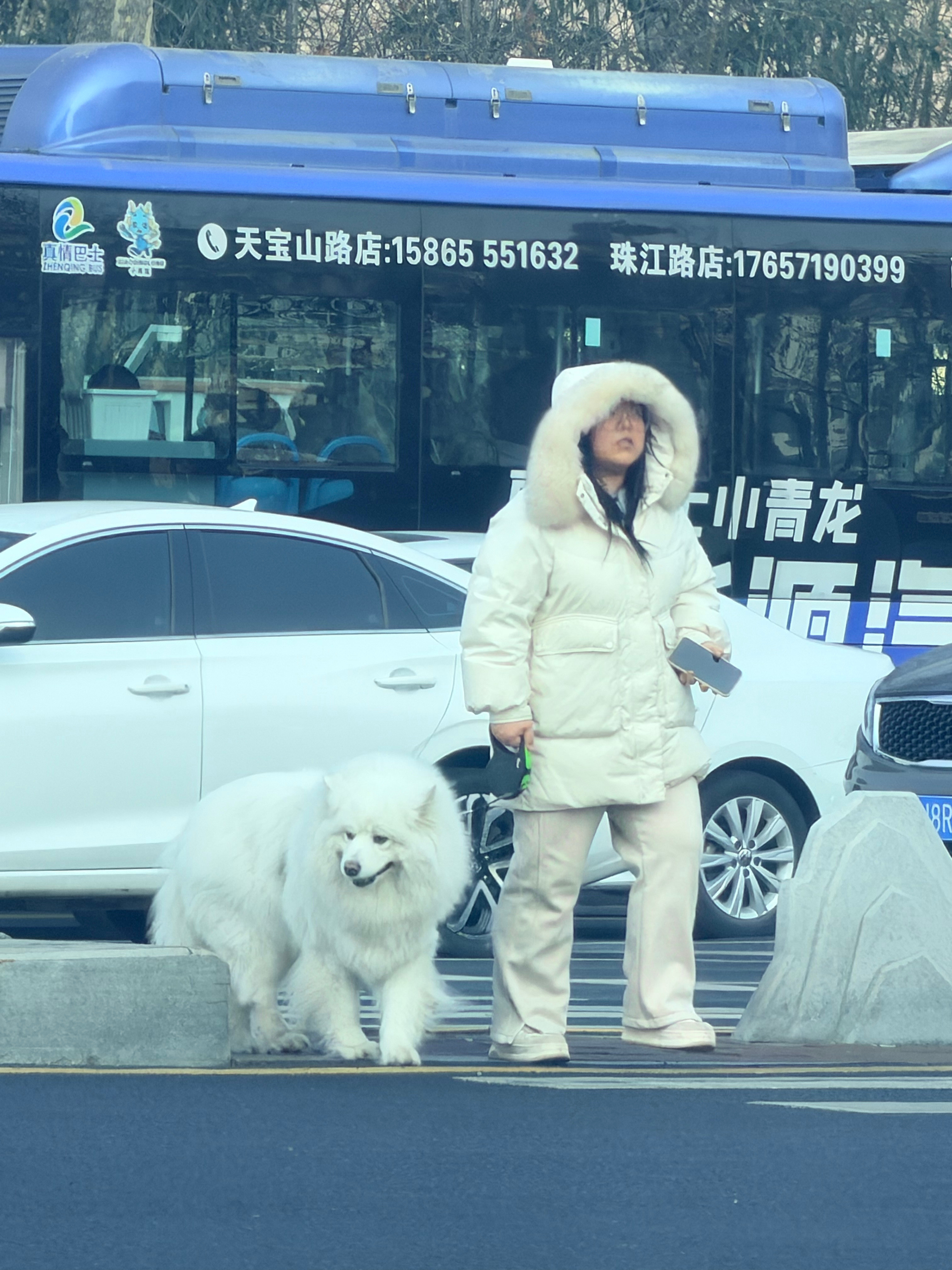 我滴妈呀，这大狗狗太可爱了吧青岛