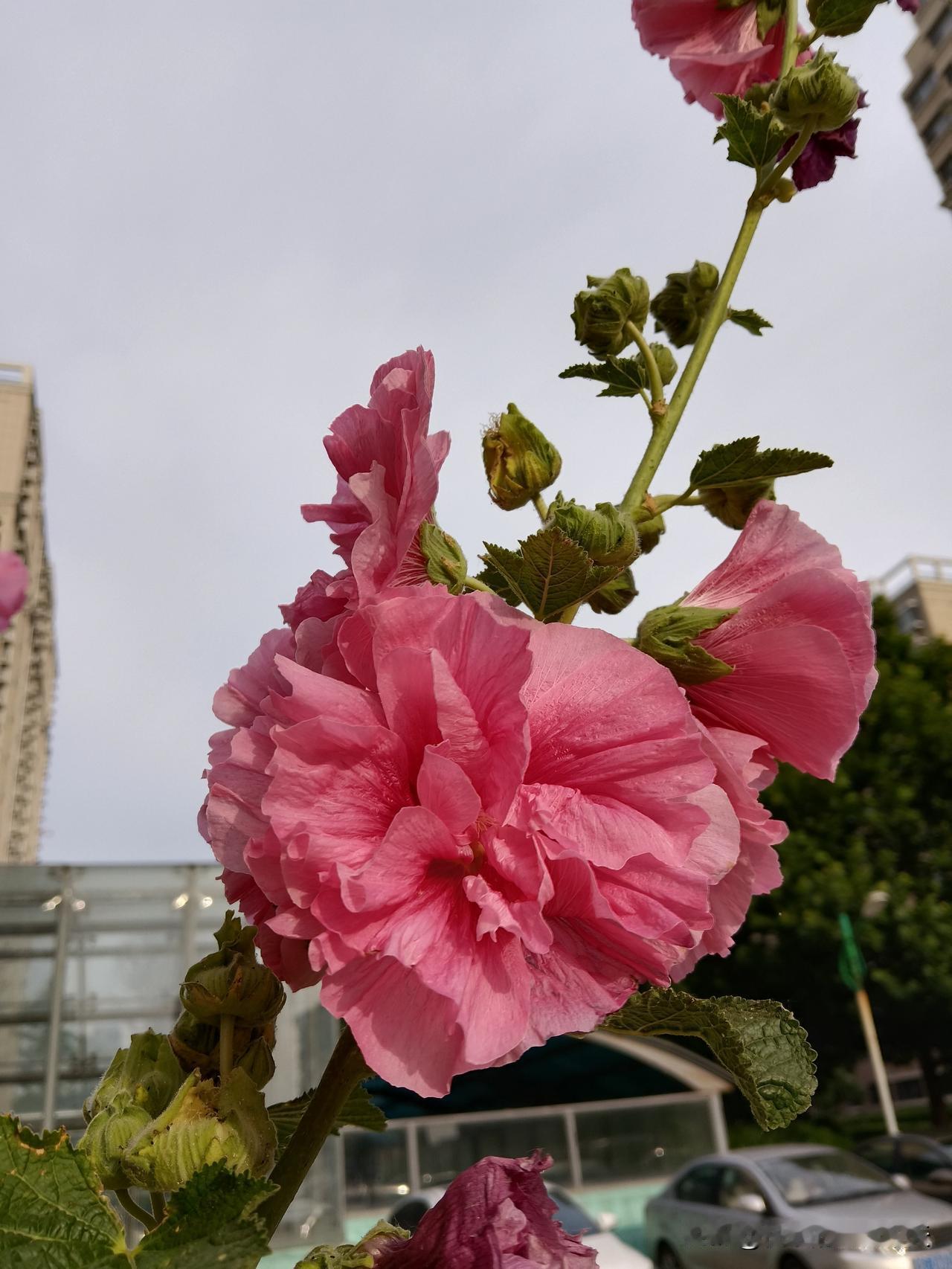 从玄学上讲，命不好没关系，会“借”就行。1.借天运别睡懒觉，早起晒背。太阳