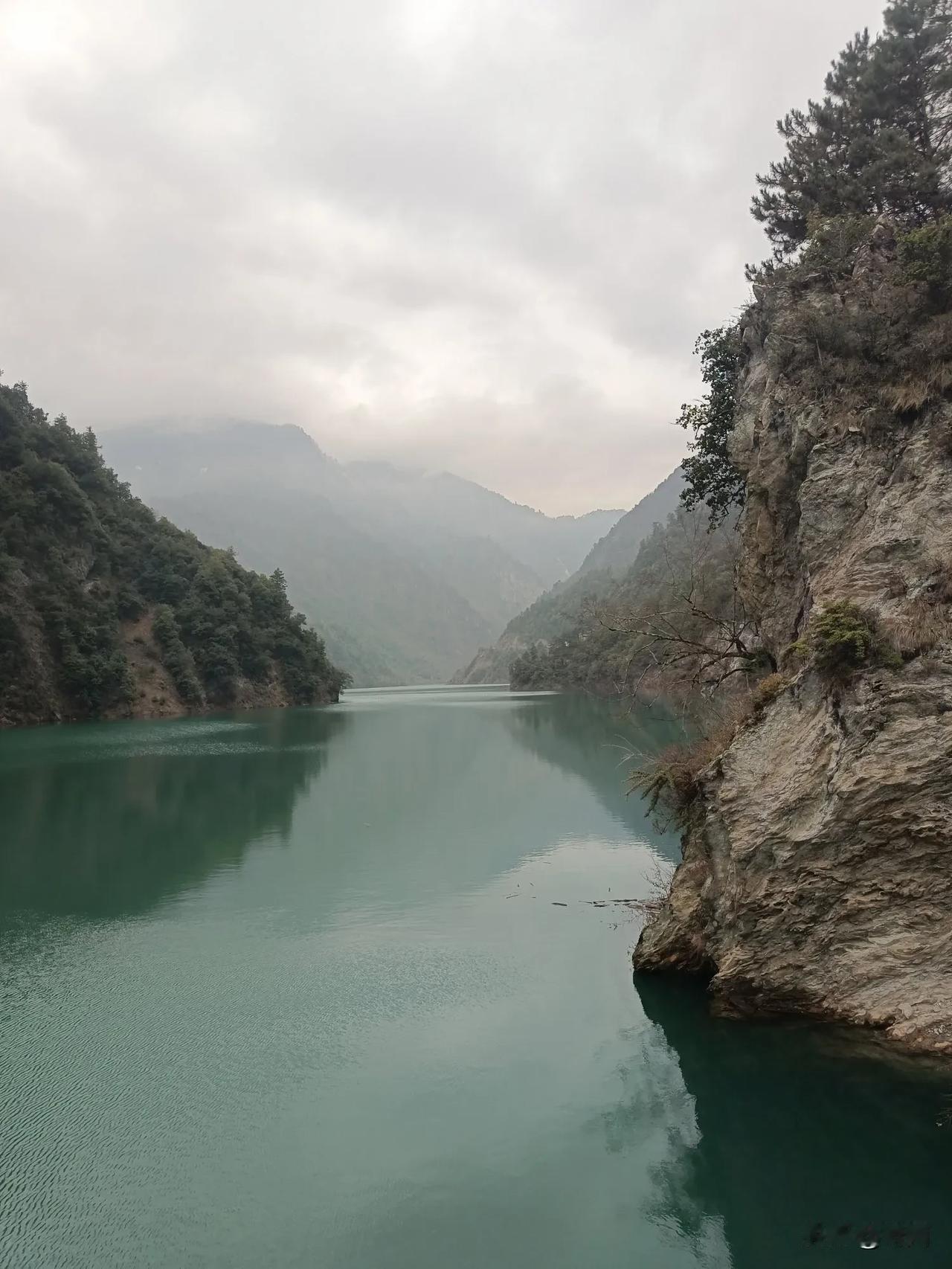 今天再次去曾经的亚洲最高水坝-汶川拉姆湖水坝，还偶遇3只小熊猫。水坝边站在护栏边