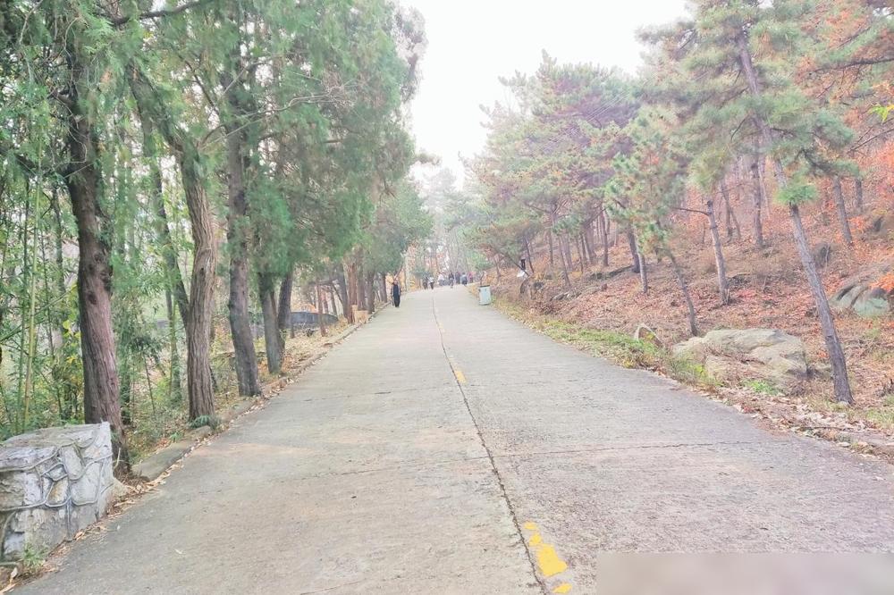 2025.12.8今天早上闺女打电话说，小胖(女婿)要离婚我问，又有什么