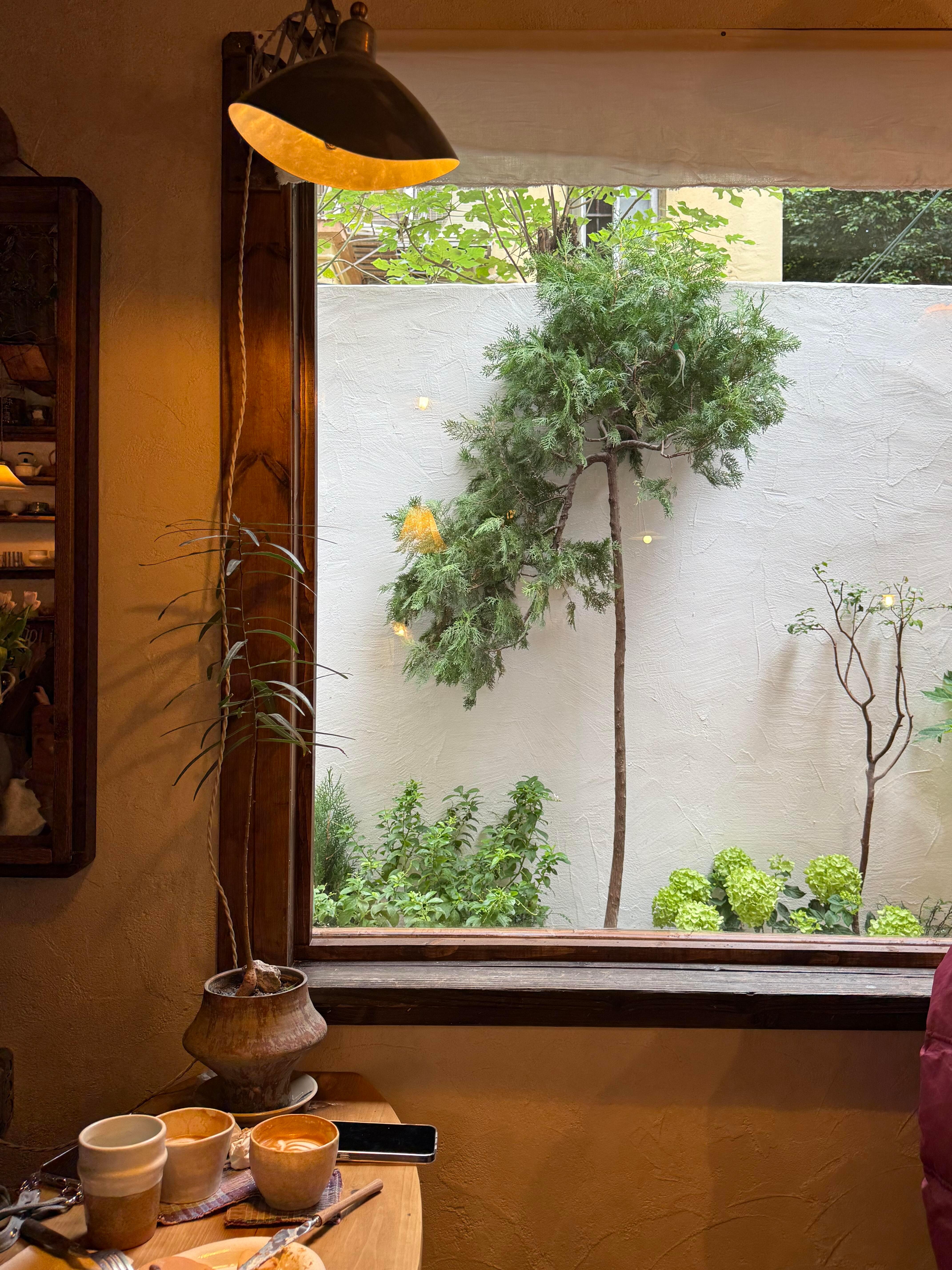 眼睛会遗忘的东西就让相机记录吧📷