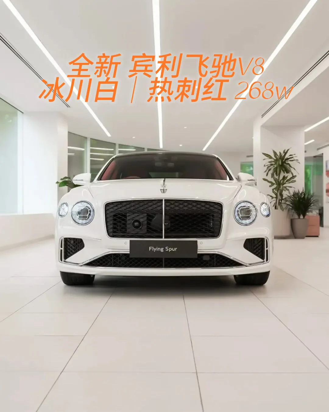 白外热刺红｜宾利飞驰V8配色天花板