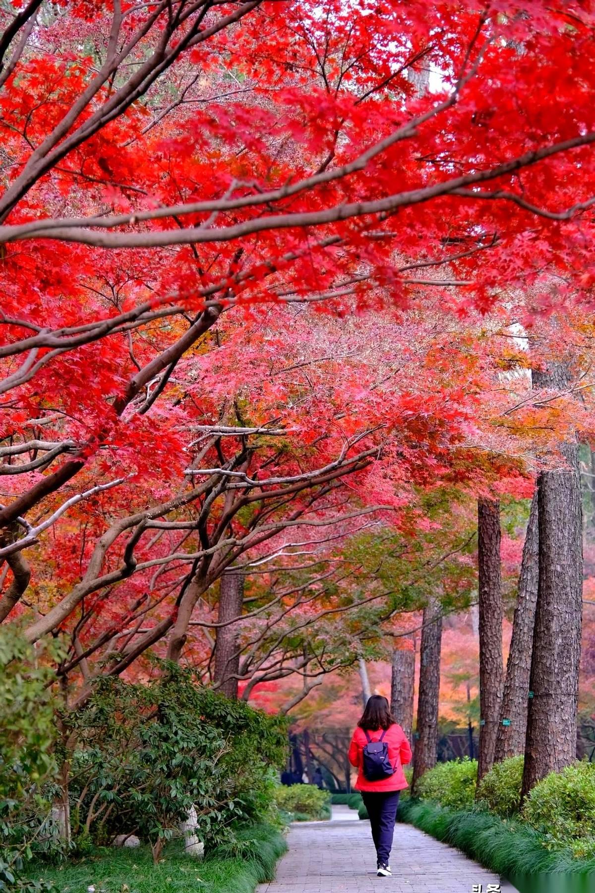 那一声钟响，真把我的魂儿给敲回来了。就感觉，我那颗丢在格子间里、被KPI盘得包