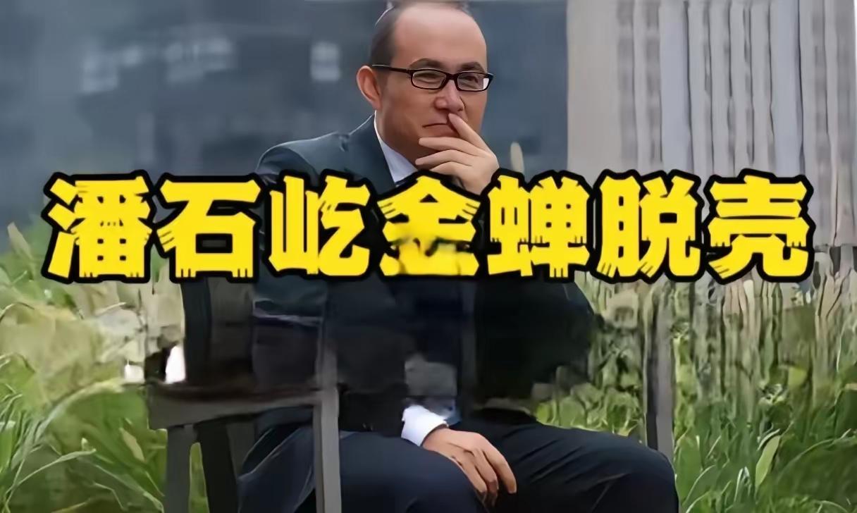 潘石屹早年间的一句话,放在今天看简直像开了上帝视角!他说商人最大的坑从不是经济亏