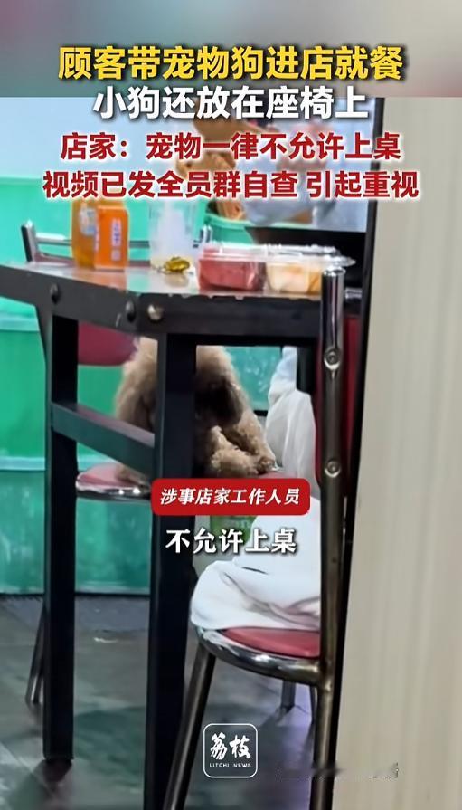 “吵翻天！”5月8日，安徽合肥，几名顾客带着宠物狗进店就餐，工作人员没有发现，宠