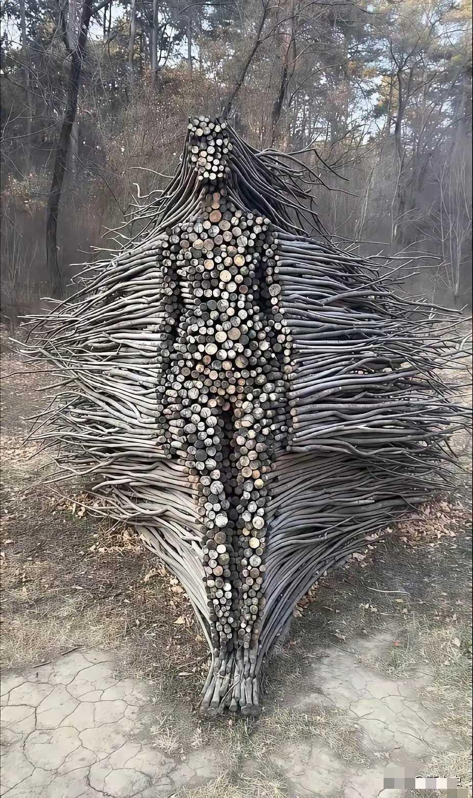 这也是个有才华的人，一般人搞不出来这效果