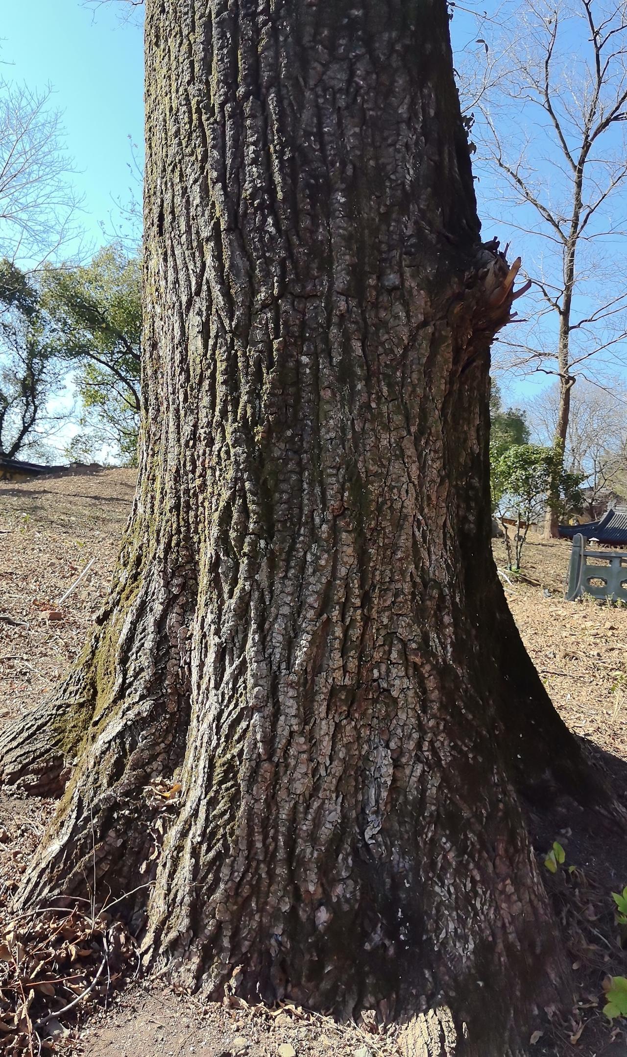 你同意二胎随母姓吗？大部分意见认为：如果女方是独生女，娘家经济条件比较好，自
