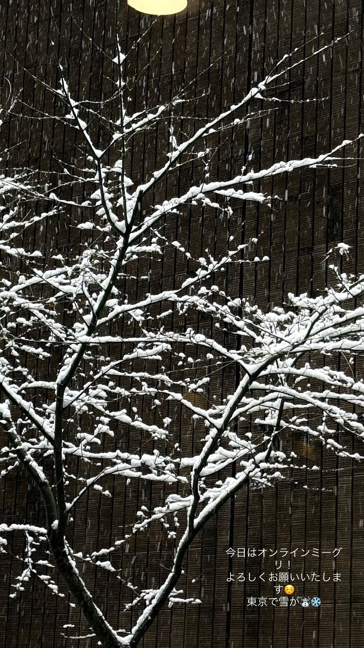 金川紗耶　sayagram