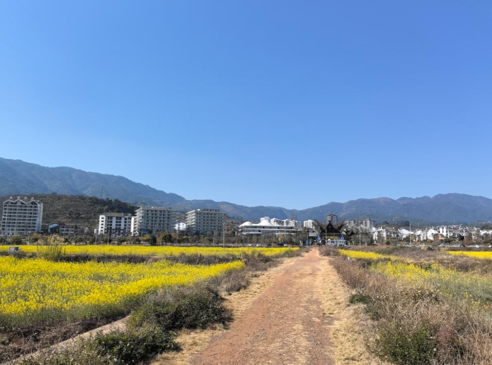 美国最害怕的事终于来了！石油美元根基松动，50年霸权一夜崩塌？石油美元要是出问