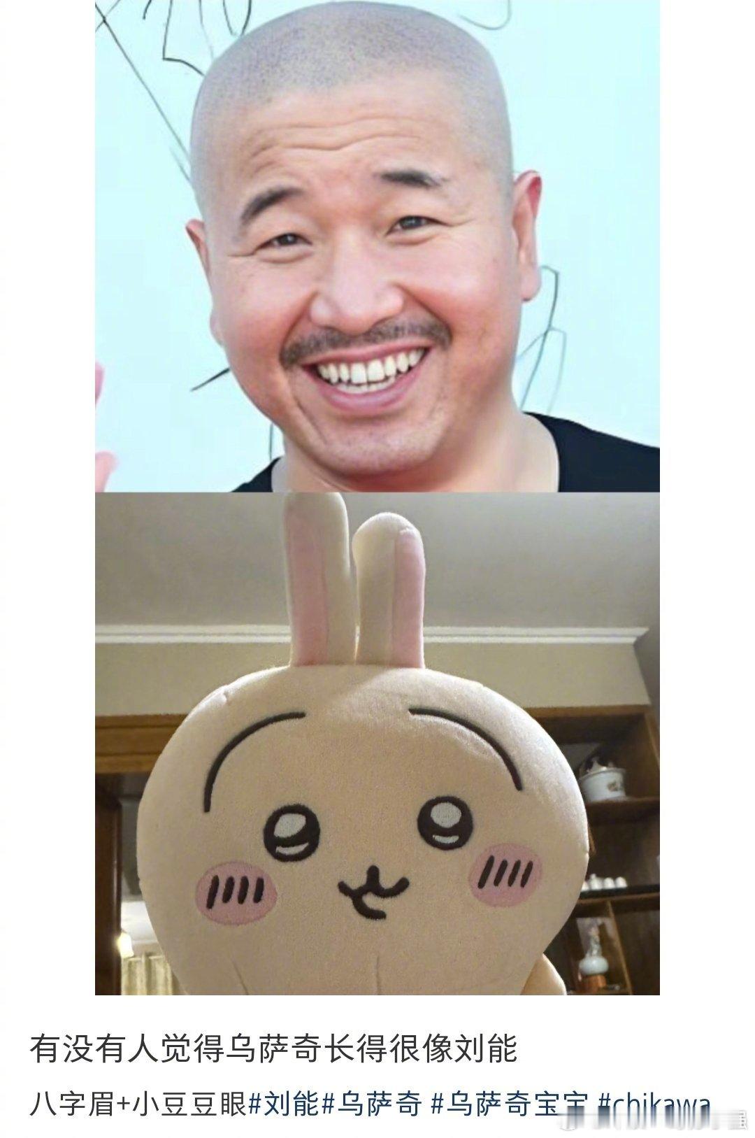 有没有人觉得乌萨奇长得很像刘能​​​