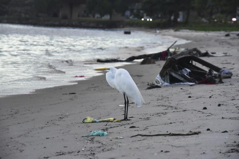 要说人的脾气好坏，还真和遗传、环境这些因素脱不了干系。就遗传来说，父母脾气暴躁，
